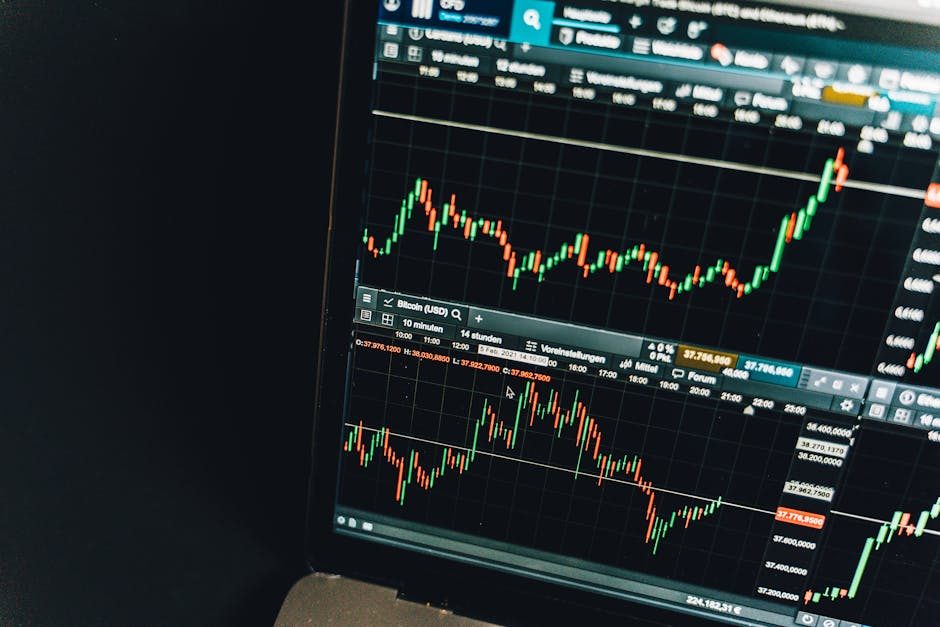 Lernmaterial zu Aktien und Börsengrundlagen